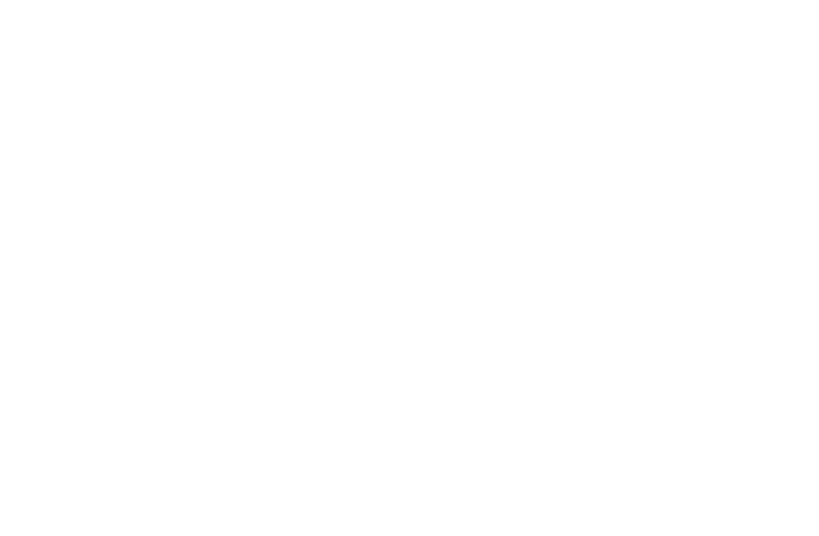 alelo-logo.webp