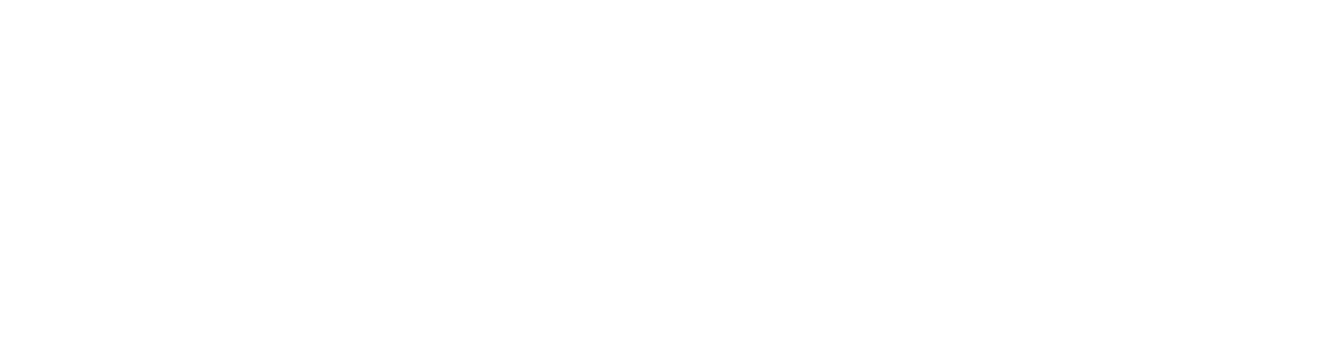 stone-logo.webp
